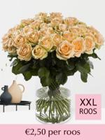 Zalmkleurige rozen - Kies je aantal - 10 t/m 99 rozen - thumbnail
