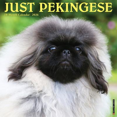 Pekingees Kalender 2026 Pekingees Kalender 2026