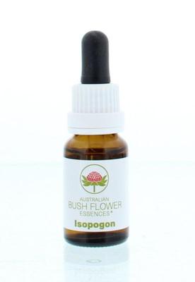 Australian Bush Isopogon 15 Milliliter