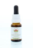 Australian Bush Isopogon 15 Milliliter - thumbnail