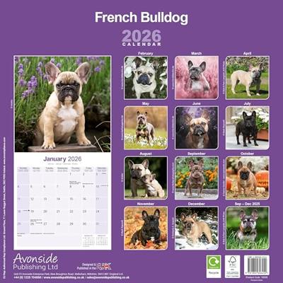 Franse Bulldog Kalender 2026