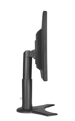 HANNspree HP205DJB 49,53 cm (19,5 inch) WSXGA 250cd VGA DVI luidspreker VESA in hoogte verstelbaar kantelbaar draaibaar