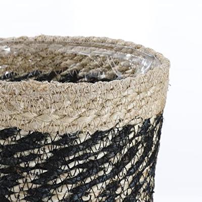 Mica mand bonaparte zwart 20 cm | 12 stuks