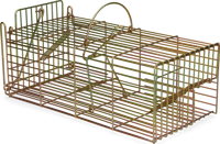 Inloopval rat levend massa - thumbnail