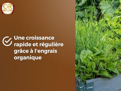 Potgrond OR BRUN 6 L