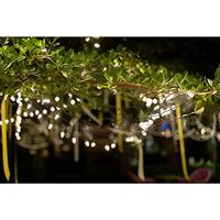 Sygonix SY-4722054 Clusterlichtketting Binnen/buiten werkt op het lichtnet Aantal lampen 200 LED Warmwit Verlichte lengte: 39.85 m - thumbnail