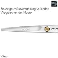 Jaguar Scissors Pre Style Ergo 5,5" - thumbnail