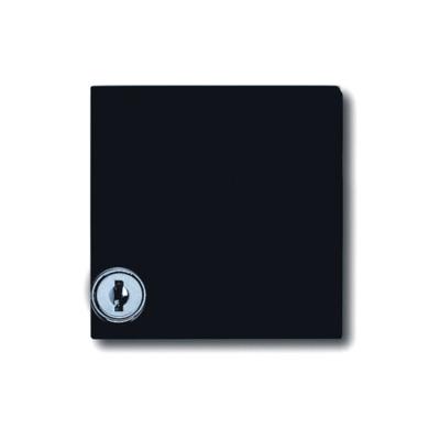 Busch-Jaeger 2CKA001710A1977 Afdekking Allweather 44 (IP44) Zwart-grijs, Antraciet 1 stuk(s) Busch-Jaeger 2CKA001710A1977 Afdekking Allweather 44 (IP44) Zwart-grijs, Antraciet 1 stuk(s)