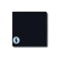 Busch-Jaeger 2CKA001710A1977 Afdekking Allweather 44 (IP44) Zwart-grijs, Antraciet 1 stuk(s) - thumbnail