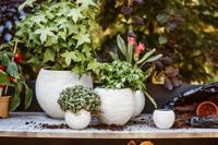 Vaas bol Rib 29x25 Zwart Capi Europe - Capi europe - thumbnail