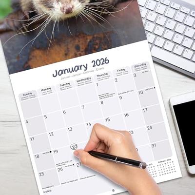 Elephants Calendar 2026 Square Wildlife Safari Wall Calendar - 16 Month