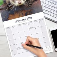 Elephants Calendar 2026 Square Wildlife Safari Wall Calendar - 16 Month - thumbnail