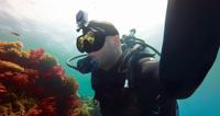 GoPro Magenta duikfilter (geschikt voor duik/armbandbehuizing/Hero3) - thumbnail