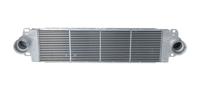 Intercooler 06014730 - thumbnail