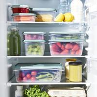 Rotho ELEMENTS Koelkast Bewaardoos Set 6-delig Mistletoe Groen/Transparant - thumbnail