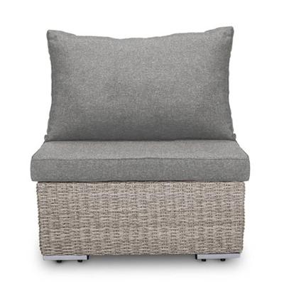 New York Center Element Off White OWN - Own