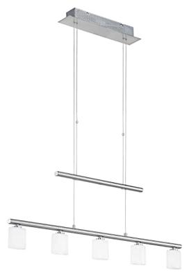 Paul Neuhaus 5-lichts hanglampHydra metaal - 2209-55
