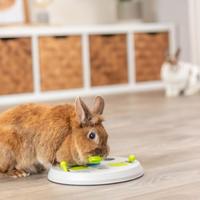 TRIXIE FLIP BOARD KNAAGDIER 23X23 CM - thumbnail