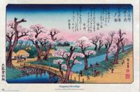 Poster Cherry Trees at Koganei Utagawa Hiroshige - 91,5x61cm - thumbnail