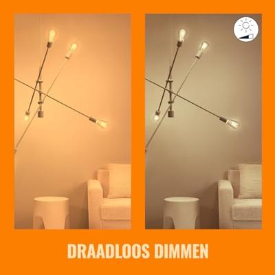 WiZ Edison Filament 2-pack - Slimme LED-Verlichting - Warm- tot Koelw…