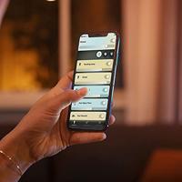 Philips HanglampHue Amaze - White Ambiance Ø 43,4cm zwart - 929003054901 - thumbnail