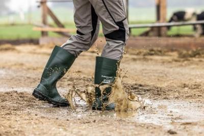 Dunlop NB2KL01 Work it PVC Laars S5 | Groen | Maat 38 - 8713197372684