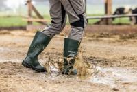 Dunlop NB2KL01 Work it PVC Laars S5 | Groen | Maat 38 - 8713197372684 - thumbnail