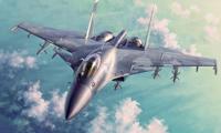 Trumpeter 1/72 Russian Su-33 Flanker D - thumbnail