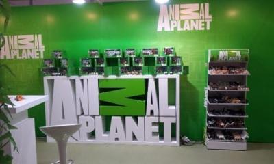 Mojo wildlife zwarte panter 387017 Mojo wildlife zwarte panter 387017