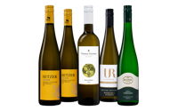 Grüner Veltliner Wijnpakket - thumbnail