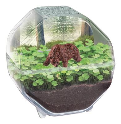 CLEMENTONI - Mini-terrarium - Beer