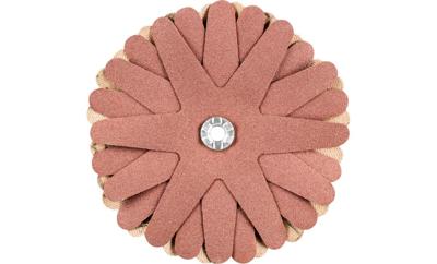PFERD TOOLS 42732148 Schuurster Diameter 90 mm 10 stuk(s)