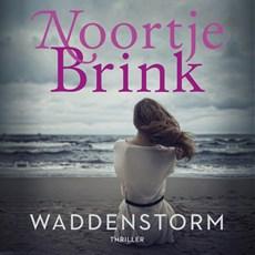 Waddenstorm