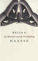 De meester van de neerdaling - Hella S. Haasse - ebook - thumbnail