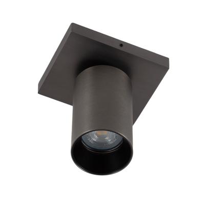 Lynn 1 Opbouwspot Gun Metal met Smart RGB LED Lynn 1 Opbouwspot Gun Metal met Smart RGB LED