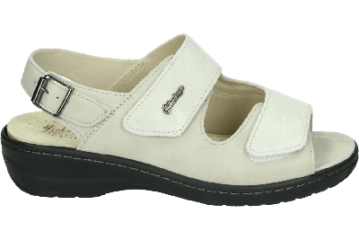 Hickersberger 2176 - alle