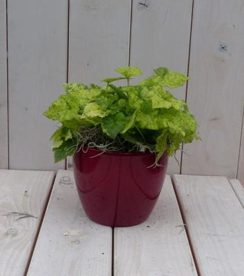 Kindje op moeders schoot in rode pot 25 cm Warentuin Natuurlijk - Warentuin natuurlijk