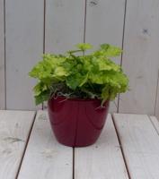 Kindje op moeders schoot in rode pot 25 cm Warentuin Natuurlijk - Warentuin natuurlijk - thumbnail