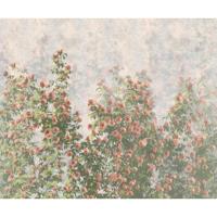 Komar Le Jardin Fotobehang Wall Roses - LJX6-038 - thumbnail