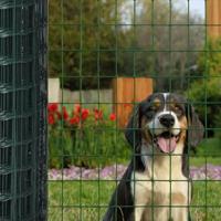 Euro hek 25x1,2 m staal groen - thumbnail