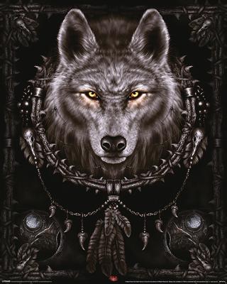 Poster Spiral Wolf Dreams 40x50cm
