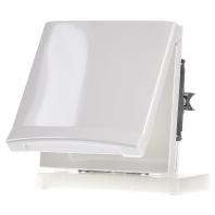 ABB 2CKA002064A0292 Apparaatinzetstuk IP44 Crème-wit, Parel-wit - thumbnail