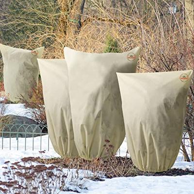Plantenbeschermingshoes Set van 3 Beige 1x0,8m Plantenbeschermingshoes Set van 3 Beige 1x0,8m