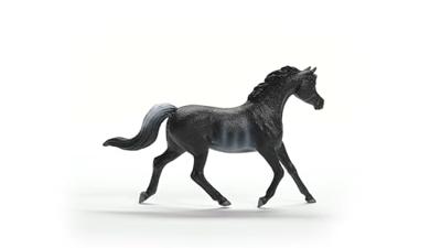 Schleich horse club arabische engst 13981 - thumbnail