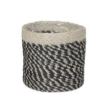 Mica mand bonaparte zwart 14 cm | 18 stuks - thumbnail