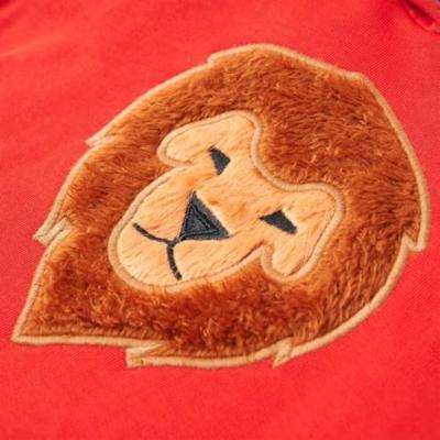 Kindertrui met capuchon 128 rood