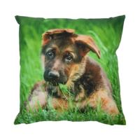 Esschert Design Buitenkussen hond - thumbnail