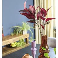 Eucalyptus - thumbnail