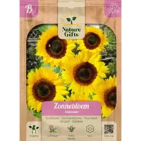 Zonnebloem snijwonder 10st - thumbnail