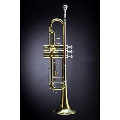Vincent Bach TR501 Bb trompet 122.24 mm (gelakt) met tas